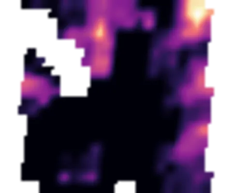 Potenziale Carbonio Biomassa Irrealizzato