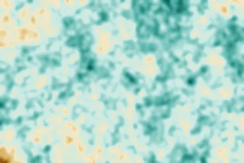 Variazione dell'Altezza Forestale