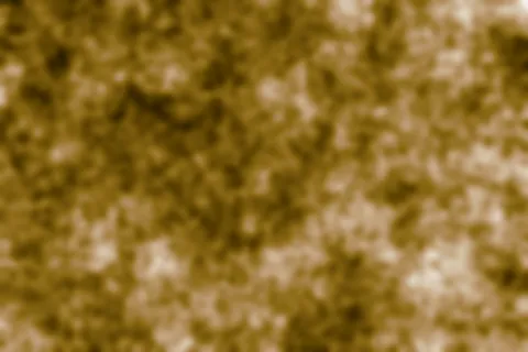 Carbonio Organico del Suolo